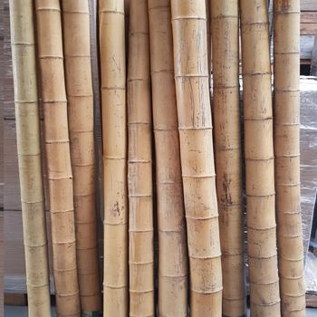 Zdjęcie Rurka bambusowa Kyoto, lakier, Ø 10-11cm, dł 250cm