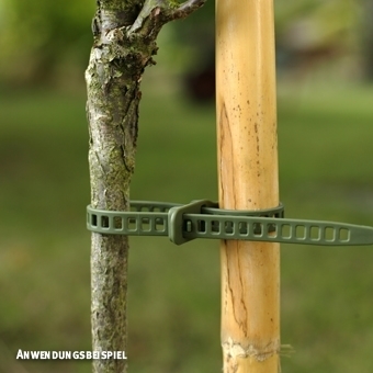 Zdjęcie Opaski zaciskowe do roślin Treefix, małe, do kwiatów 0,7 x 18 cm, 10 szt.