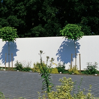 Zdjęcie Mata z tworzywa szt. Rügen, biała 140 x 300 cm