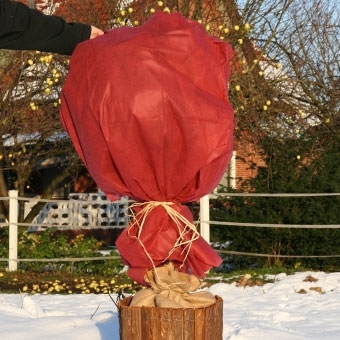Zdjęcie Tkanina z włókniny 150 x 500 cm, czerwona, PP34