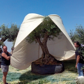 Zdjęcie Duży worek z włókniny 70 g/m kw. XXXL