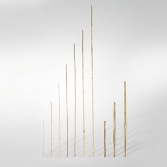 Zdjęcie Rurka bambusowa - tyczka do roślin, nieobrobiona, 5-7mm, długość 60cm, 10 szt.