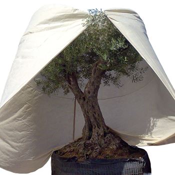 Zdjęcie Duży worek z włókniny 70 g/m kw. XXXL