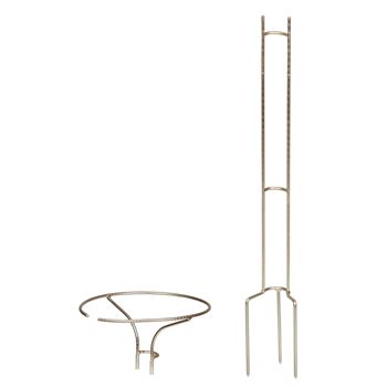 Zdjęcie Stojak do róż 90 cm, łączony, surowy
