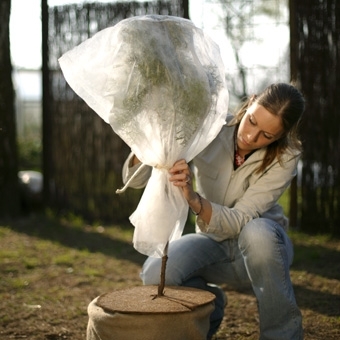 Zdjęcie Worek z włókniny dla krzewów różanych, W:75 x S:80cm, biały (17 g/m kw.) średnica ok. 50 cm