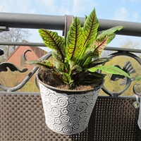 Zawieszana doniczka Sky, brązowoszara, fi:14cm (zestaw 2 sztuk)