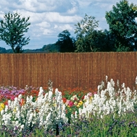 Mata na płot osłaniający z paproci, Husum 180 x 300cm