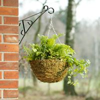 Donica wisząca Nature z mchem, zielona, Ø 35cm
