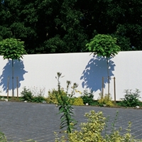Mata z tworzywa szt. Rügen, biała 180 x 1000 cm
