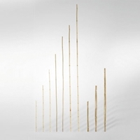 Rurka bambusowa - tyczka do roślin, nieobrobiona, Ø 20-22mm, długość 240cm