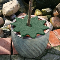 Dysk 35 cm z włókien kokosowych, Gwiazda, kolor zielony.